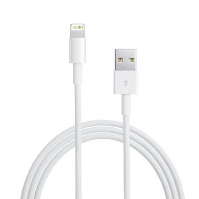 Chargeur Lightning Blanc iPhone 5 / 5C / 5S