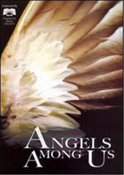 Angels Among Us - DVD Zone 1