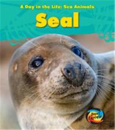 Sea Animals: Seal