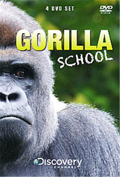 Gorilla School