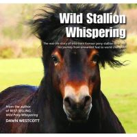 Wild stallion whispering