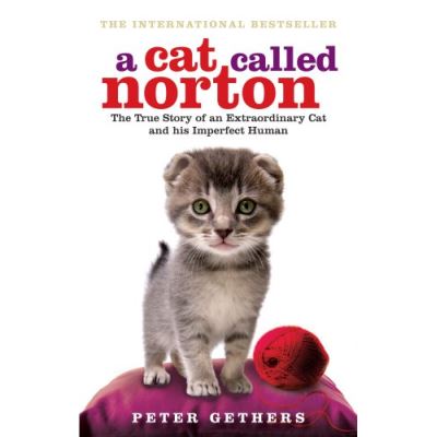 Cat Called Norton
