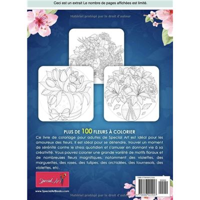 100 Femmes Un livre de coloriage pour adultes avec de belles femmes NLFBP  Editions - broché - NLFBP Editions - Achat Livre