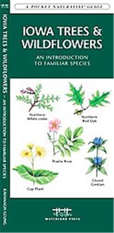Iowa Trees & Wildflowers, A   pocket naturalist guide