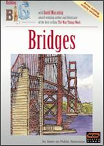 Building Big: Bridges