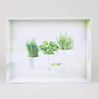 Emsa plateau 50x37cm *herbes