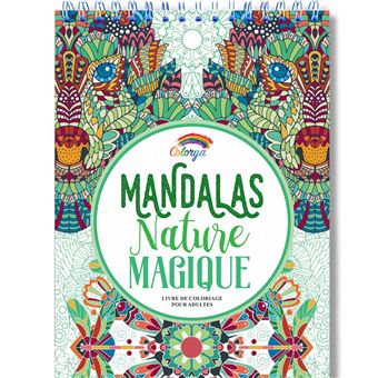 1323 Livre de coloriage adultes 100 mandalas anti-stress : Mandala