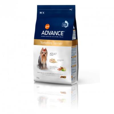 Advance - yorkshire terrier - 1,5 kg