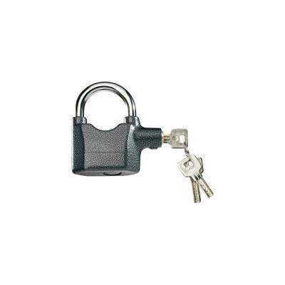 CADENAS AVEC SIRÃˆNE 110 DB CONRAD