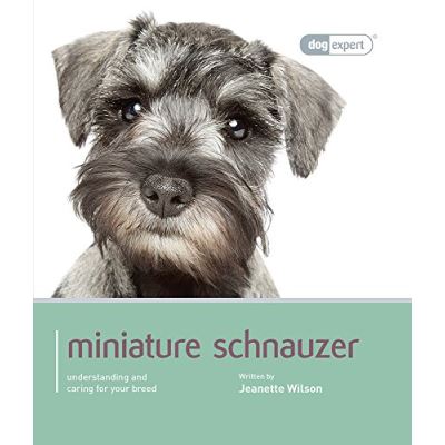Miniature Schnauzer: Miniature Schnauzer - Dog Expert