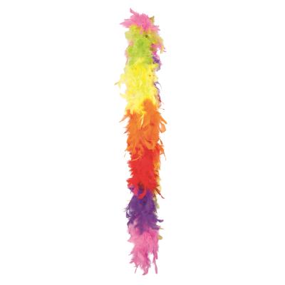 Boa Plumes multicolore