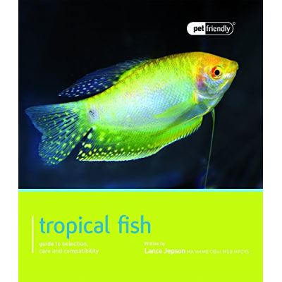 Tropical Fish: Pet Friendly - Tropical Fish