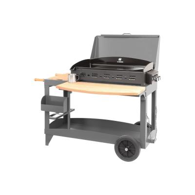 Plancha professionnelle Le Marquier Reina BAP3755C27 10200 W Gris