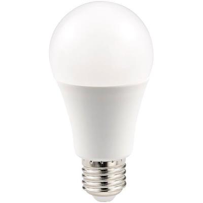 Ampoule LED 10 W E27 haute efficience énergétique - blanc chaud