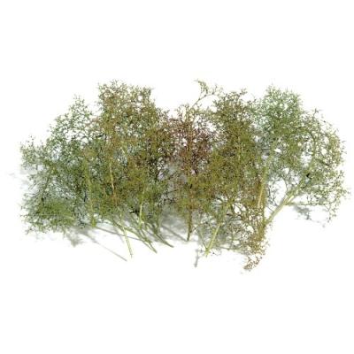 BUSCH ENVIRONNEMENT - BUE6801 - MODÉLISME FERROVIAIRE - ARBRES NATURELS À CONSTRUIRE