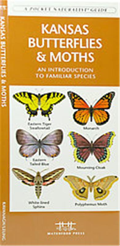Kansas Butterflies & Moths, State Nature Guides