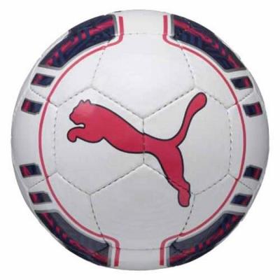 Football Puma Evopower 5 Futsal Plasma - Taille :5