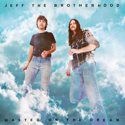 Wasted On The Dream (LP)