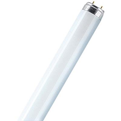 Osram l 36 w 840-1 tube fluorescent 25 x 1 lf