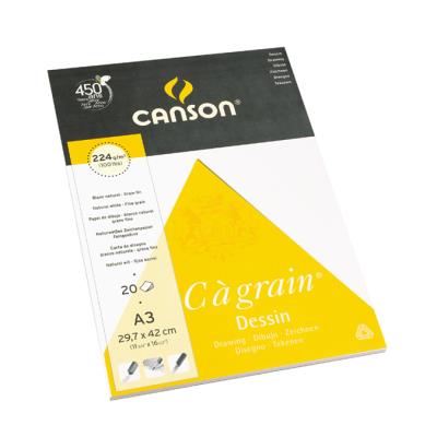 Canson arts graphiques c à grain, grain fin 224g/m² bloc collé petit côté A3 - 29,7 x 42cm