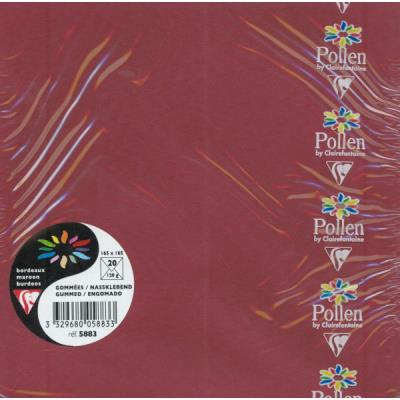 Paquet de 20 enveloppes Pollen 165x165mm Bordeaux 120g