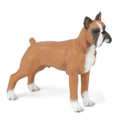 Chien - Boxer