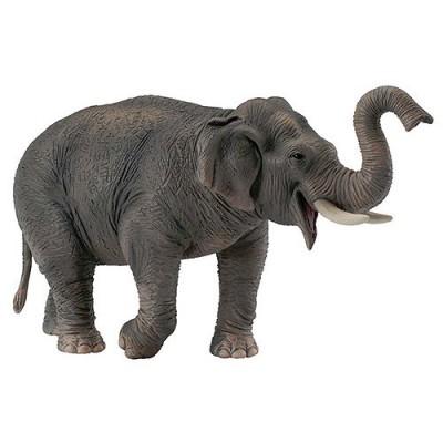 Figurines Collecta - Eléphant d'Asie