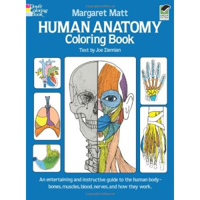 Human Anatomy Coloring Book
