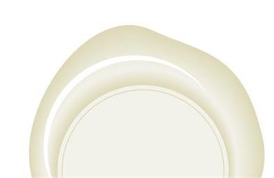 Herbin - Cire pistolet Extra Blanc