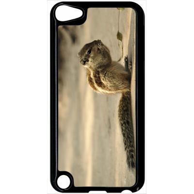 Coque ipod touch 5 petit ecureuil
