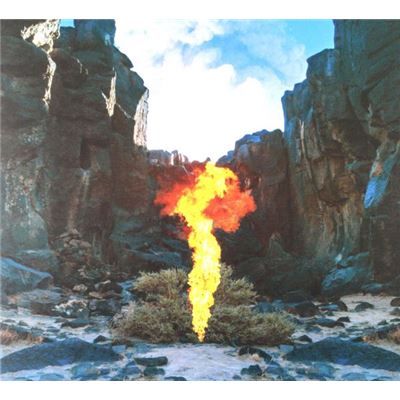 Bonobo: Migration