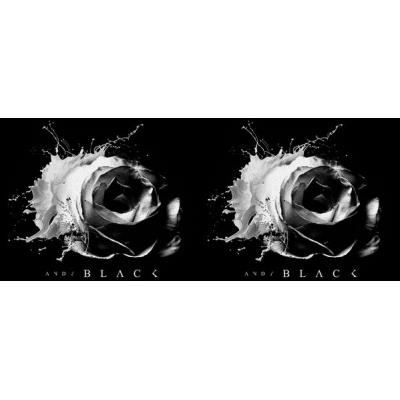 Tasse de ceramique Andy Black Rose