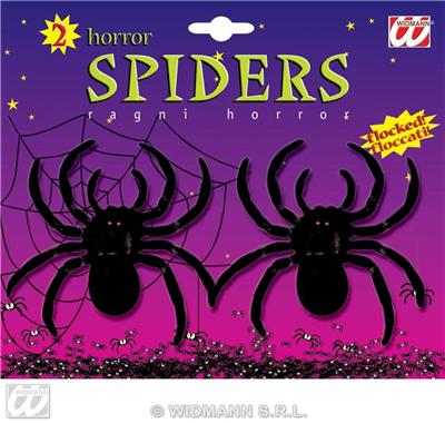 2 Araignées Noires