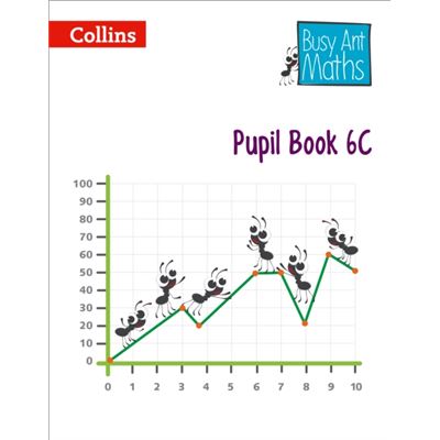 Busy Ant Maths Pupil Book 6C (Paperback)