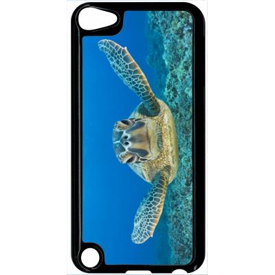 Coque ipod touch 5 tortue verte d hawai
