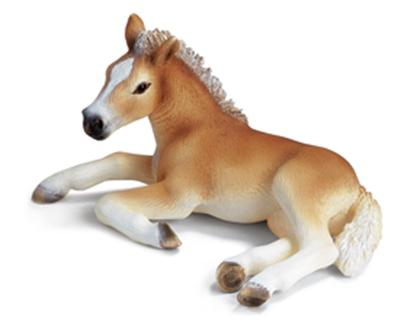 13292 Poulain cheval haflinger couché