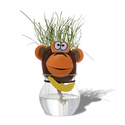 Tête d'animal cheveux d'herbe qui pousse cochon