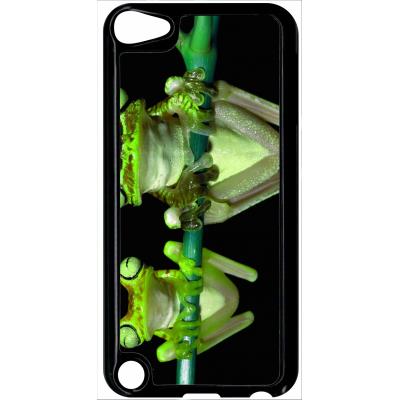 Coque ipod touch 5 deux grenouilles vertes suspendues