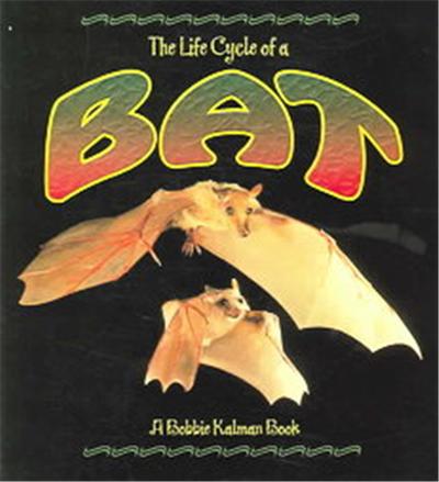 The Life Cycle of a Bat, Life Cycle Series