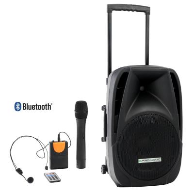 Pronomic PH12AW batterie unité active 12