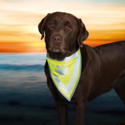 Trixie Reflective Safety Scarf 43-60 cm