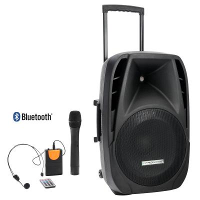 Pronomic PH15AW batterie unité active 15
