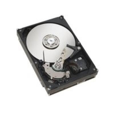 Fujitsu - Vaste schijf - 500 GB - SATA 6Gb/s - 7200 tpm - voor Celsius M7010, M770; ESPRIMO D538/E94, D738, D958, P558, P558/E94, P758, P758/E94, P958