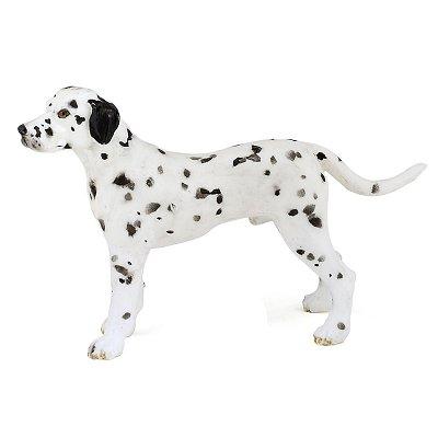 Chien - Dalmatien