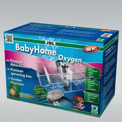 Meilleurs prix pour Babyhome oxygen
