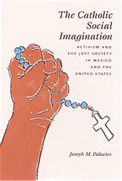 The Catholic Social Imagination, Morality and Society Series