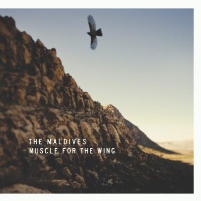 Muscle For The Wing LP (Vinyl)