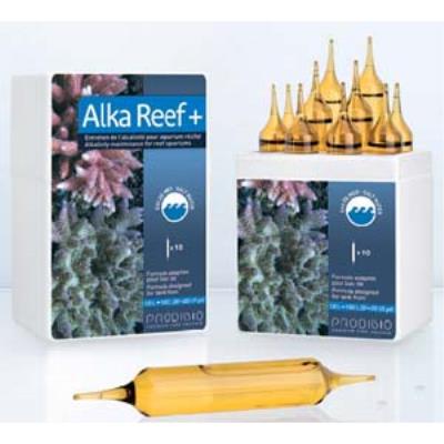 Alka reef + 10 amp.