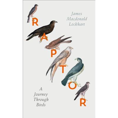 Raptor: A Journey Through Birds (Hardcover)