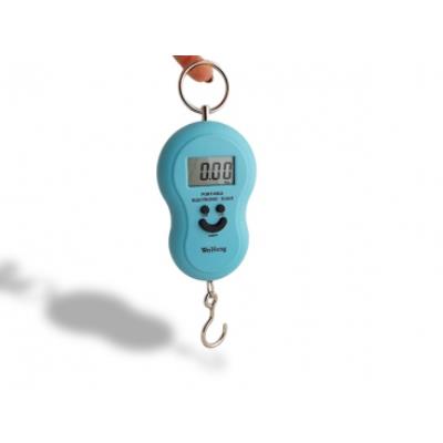Pèse-bagage portable avec balance électronique très pratique noir petit electromenager mini de poche